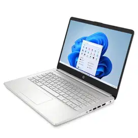 HP14s - FQ1009AU (Silver) / FQ1011AU (Gold)
