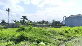 Tanah 2 menit kampus UMM Malang potensial bangun kos-kos an