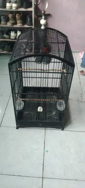 Kandang kotak no.1 Ebod