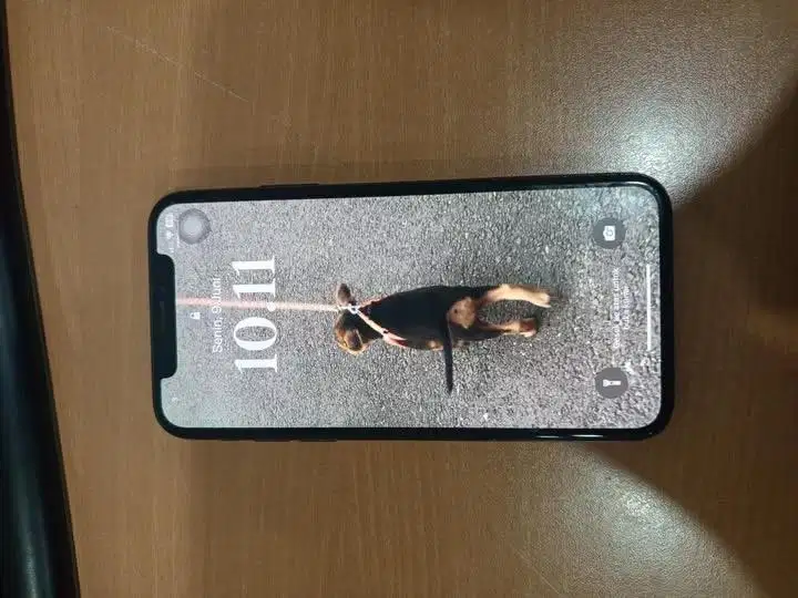 JUAL CEPAT IPHONE X 256GB BLACK INTER
