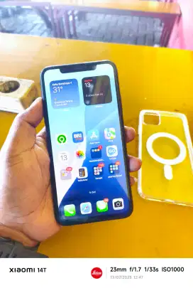 iPhone 11 Promax ibox 256GB