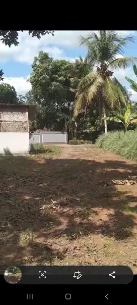 JUAL TANAH MURAH 300JT LUAS 1372m Dekat Kota Purworejo