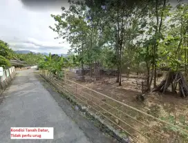 Tanah pekarangan tepi jalan