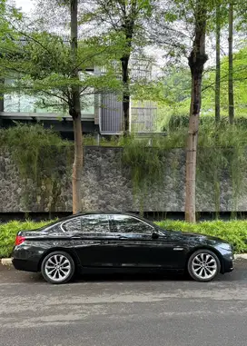 BMW 520i 2014 Bensin