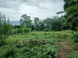 Lahan Matang Siap Bangun, Tanah Murah Cisauk Dekat Stasiun Jatake