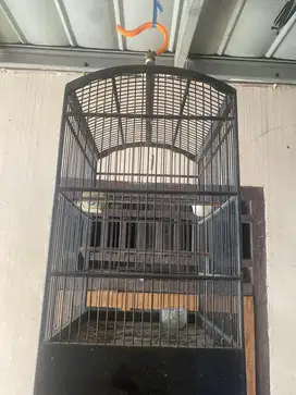 Kandang burung jual murah