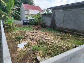 Dijual Murah Tanah Gratis Pagar Dan Tembok