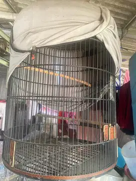 Jual murah! Kandang burung besar bulat