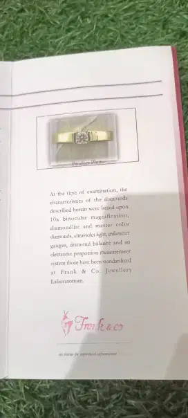 Cincin kawin berlian frank n co