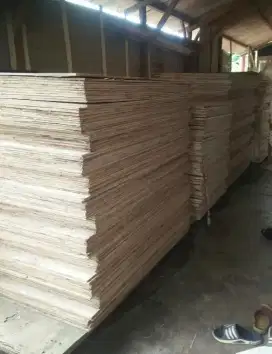 Jual triplek 8mm bekas utuh 120x240