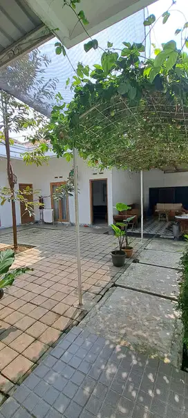 Jual Rumah Konsep Terbuka Cocok utk Kostan / Gudang di Yasmin - Bogor