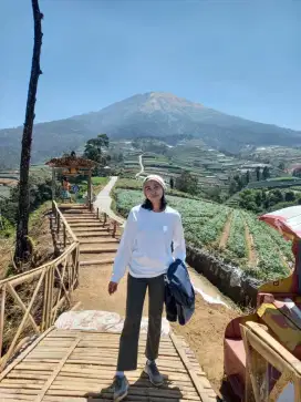 mencari pekerjaan part time pajak & akunting