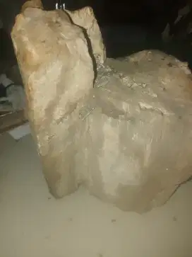 batu fosil kayu banyak kerlip