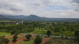 Jual tanah kavling dengan harga yang terbaik