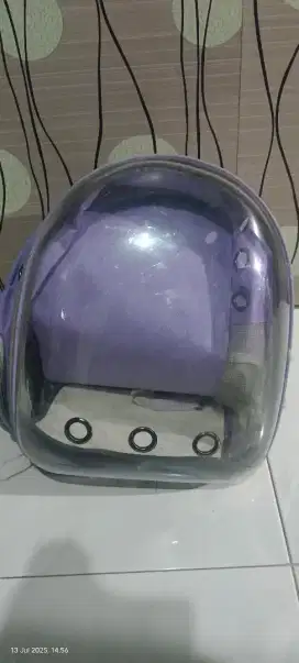 Tas kucing tas kelinci