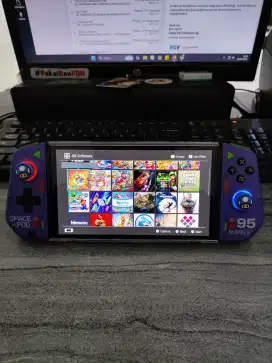 Nintendo Switch Dualboot 512gb