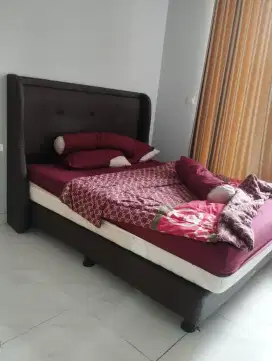 Kasur SpringBed