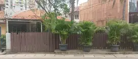 Dijual cepat Rumah di Bintara jaya, Kranji Bekasi barat
