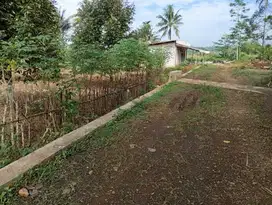 JUAL TANAH BOBOTSARI PURBALINGGA