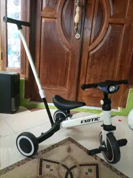Sepeda Roda 3 Exotic