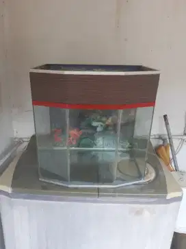 Jual Aquarium idak tepakai lagi