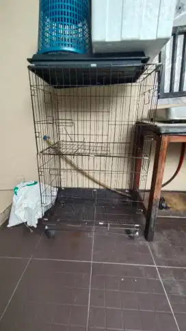 Dijual kandang kucing bekas