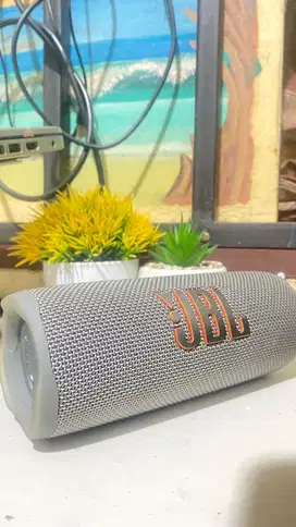 JBL FLIP 6 SILVER