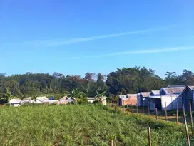Grand mutiara kedungrejo, kavling murah lokasi dekat tol