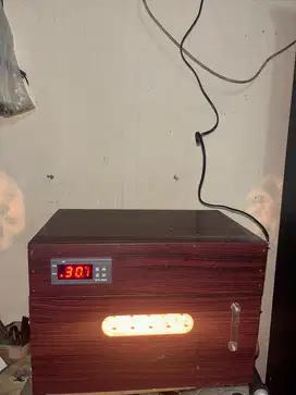 Barang bekas alat penetas telur