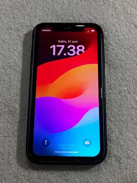 Iphone XR Inter 128 GB