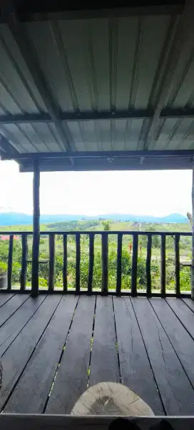 Mencari tanah kavlingan dengan harga 50-100 juta