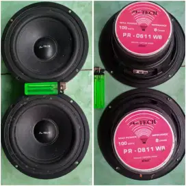 Sepasang Speaker Audax ProTech