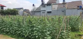 Jual Cisaranten Kulon Dekat Arcamanik