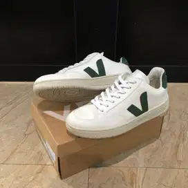 Veja V12 Size 43