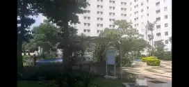Sewa apartemen murah