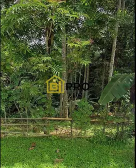 Dijual Tanah Pinggir jalan Curugbitung Lebak banten Guradok