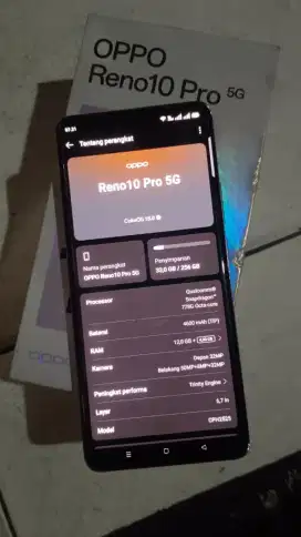 Jual santai oppo reno 10 pro 5G