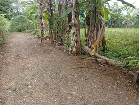 TANAH DIJUAL DI PURBALINGGA, MURAH, BISA NEGO
