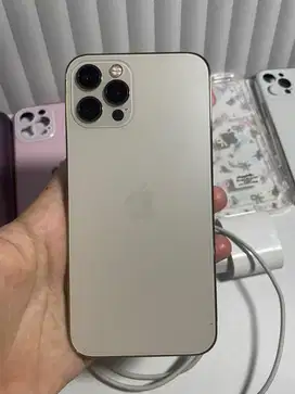 Iphone 12 pro gold 256gb inter
