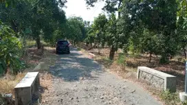 DIJUAL TANAH DARAT DI PASURUAN BANGIL NEGO