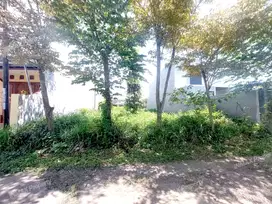 Tanah Dijual Di Pulosari Malang