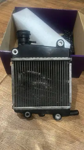 Radiator original Yamaha aerox 155
