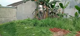 Tanah kawasan Gading Serpong siap bangun
