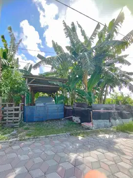 JUAL TANAH KAVLING WONOREJO SELATAN COCOK UNTUK INVESTOR