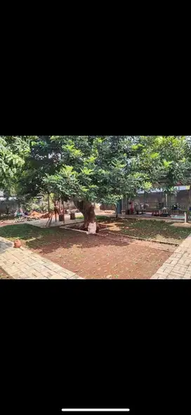 Dijual Tanah Secepatnya - Tangerang Selatan, Banten