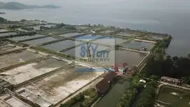 Jual Tanah Murah Hadap Laut di Hanura Lampung