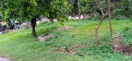 Dijual tanah kosong strategis pinggir jalan desa pengasinan gn sindur