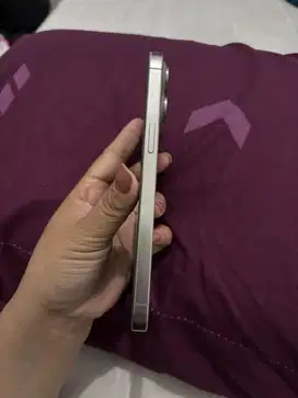 ip 15 promax 256gb