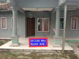 Jual rumah murah layak isi Kemang Parung bgr