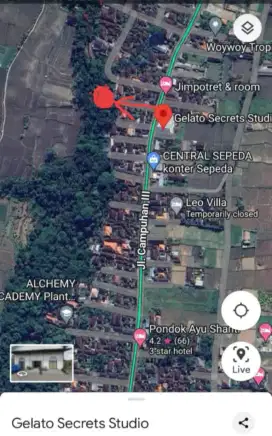 Dijual tanah 6are(SHM)ubud, gianyar.cocok buat villa(langsung pemilik)